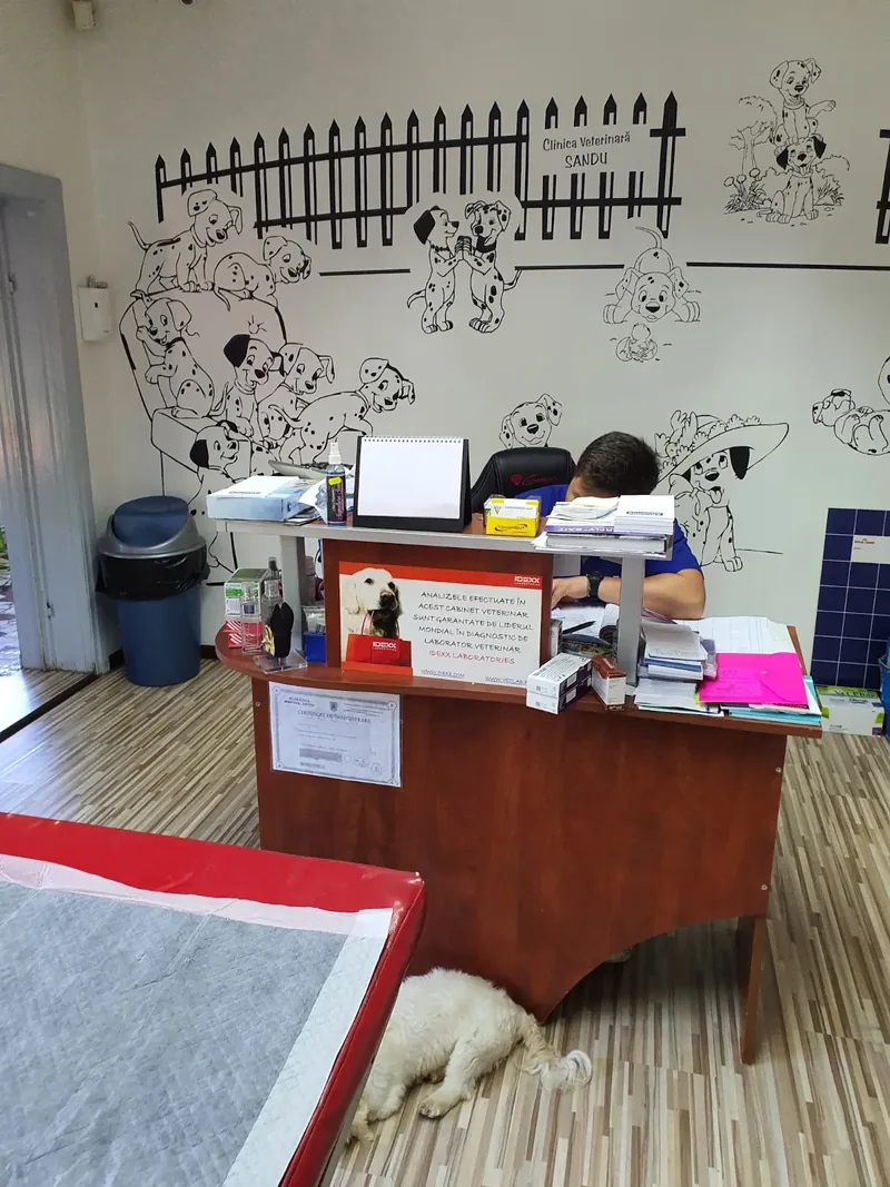 Recepția clinicii, cu desene cu câini pe perete